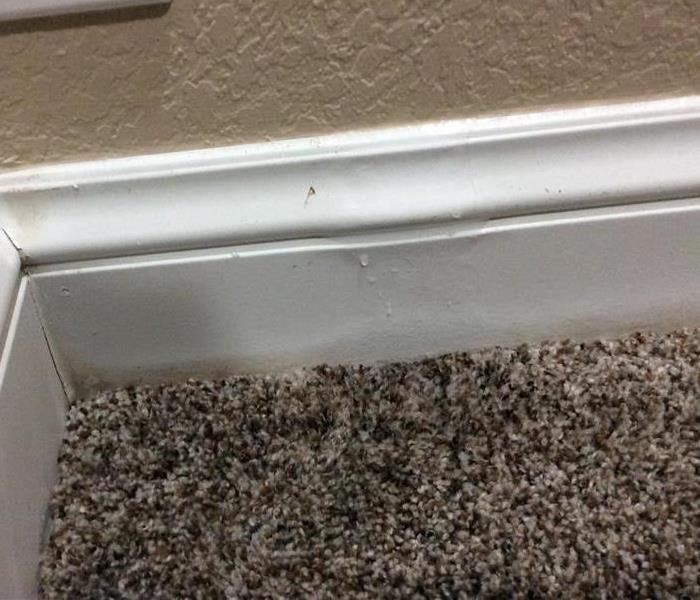 Water damage in basement on baseboard trim in Boulder resident's home 